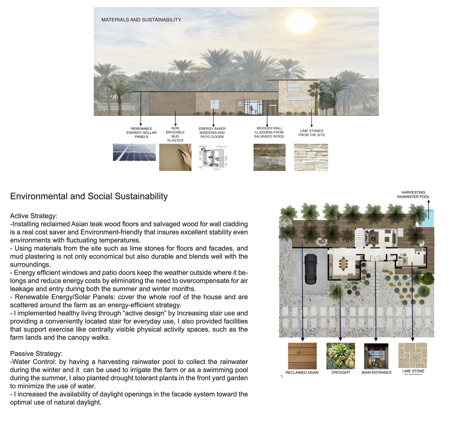 The Palms — Landscape